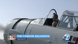 Condor squadron