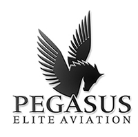 Pegasus Elite Aviation logo 3 Pegasus Elite Aviation logo 3